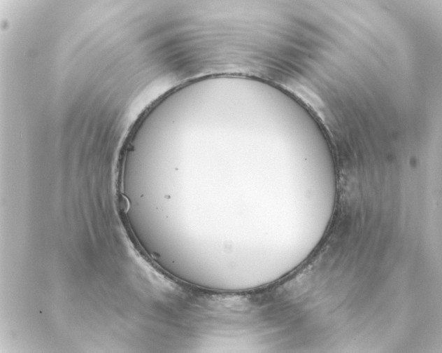 X0000088881135200706221808