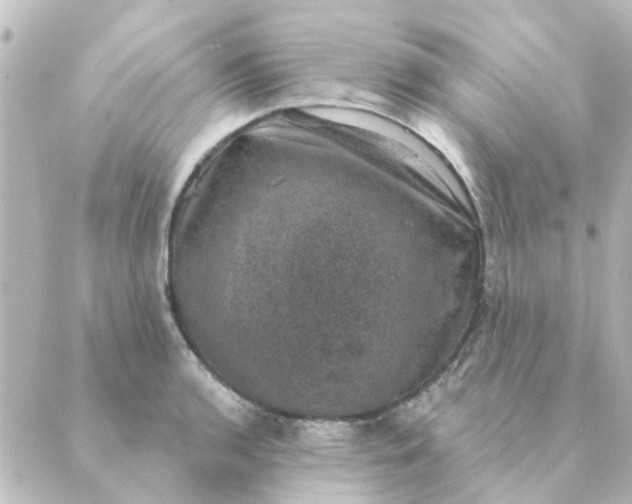 X0000088881136200706221808