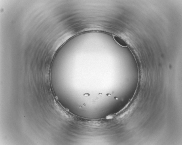 X0000088881137200706221808