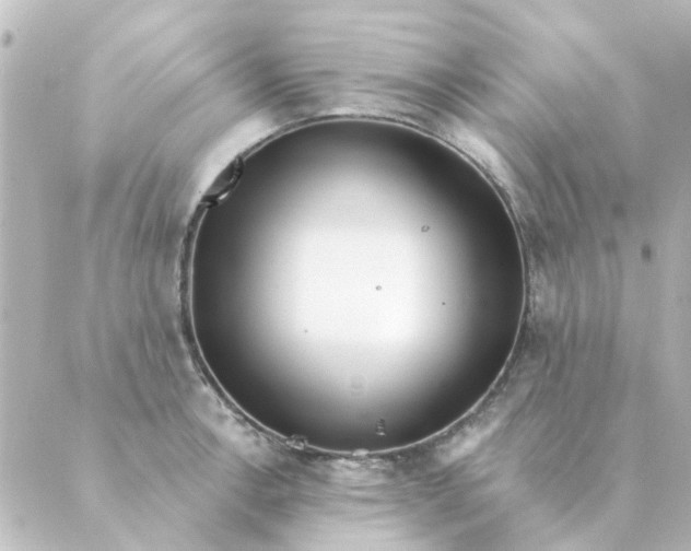 X0000088881138200706221808