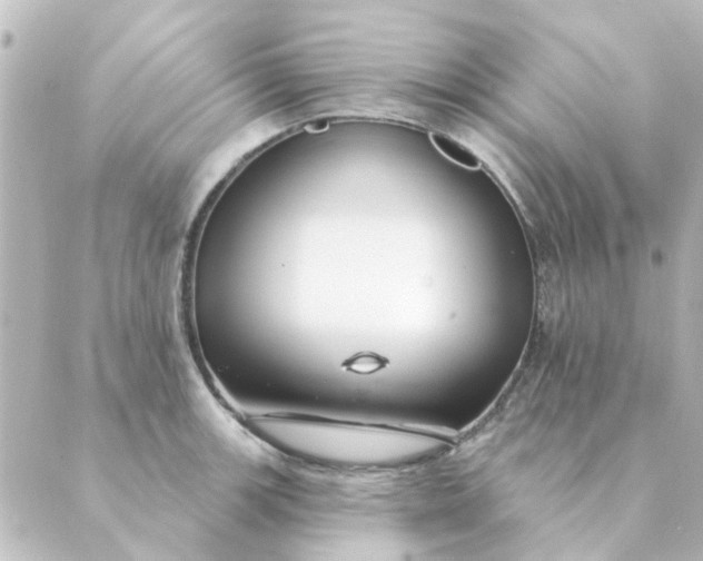 X0000088881139200706221808