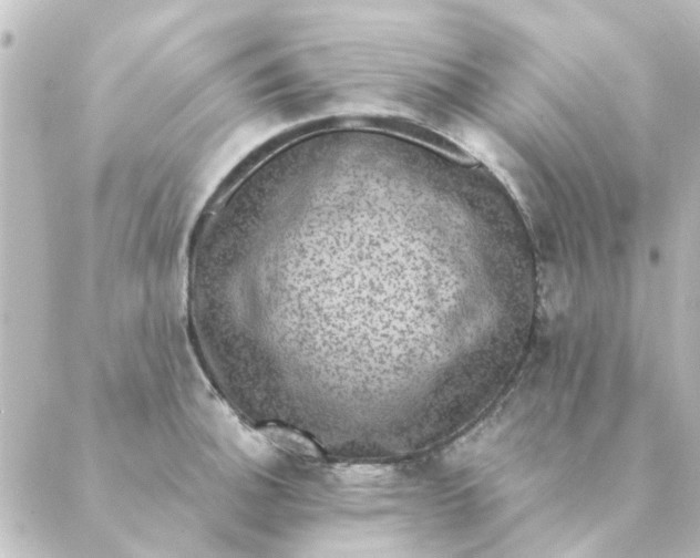 X0000088881140200706221808