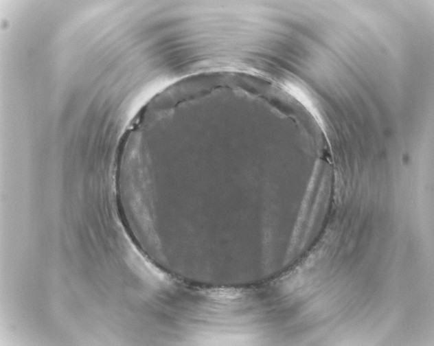 X0000088881141200706221808