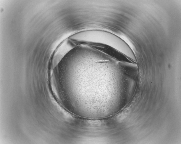 X0000088881142200706221808