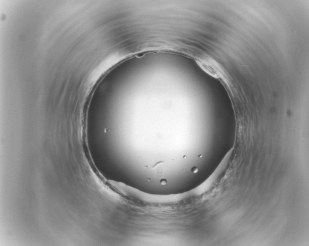 X0000088881143200706221808