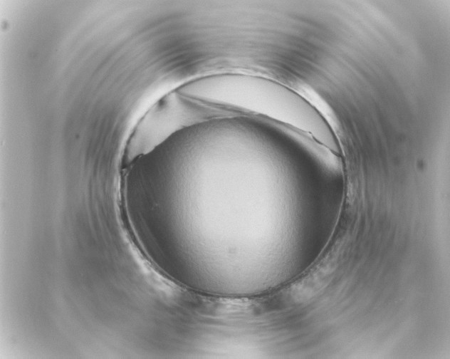 X0000088881144200706221808