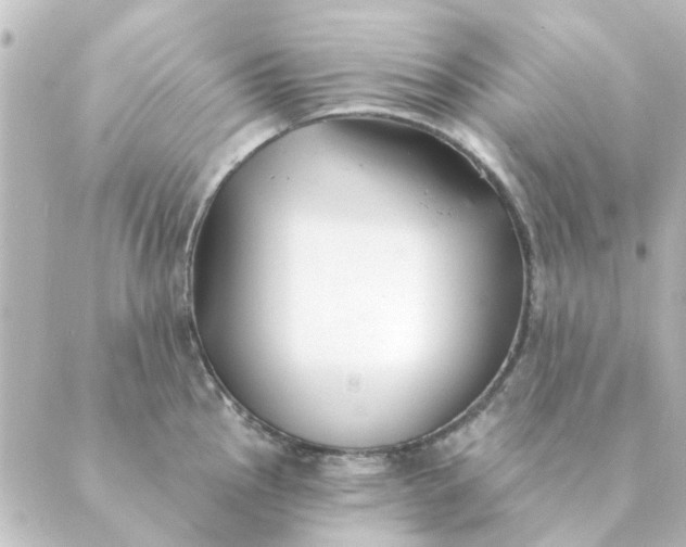 X0000088881145200706221808