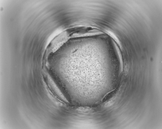 X0000088881146200706221808