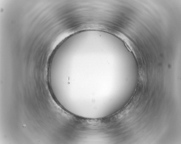 X0000088881147200706221808