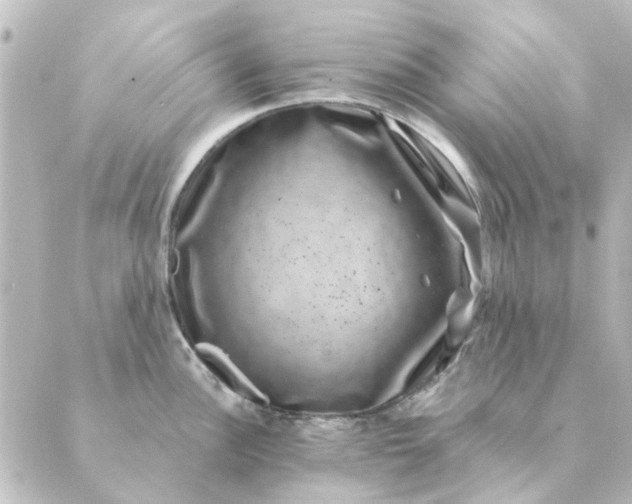 X0000088881148200706221808