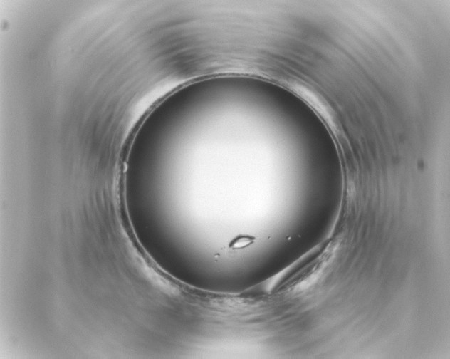 X0000088881149200706221808