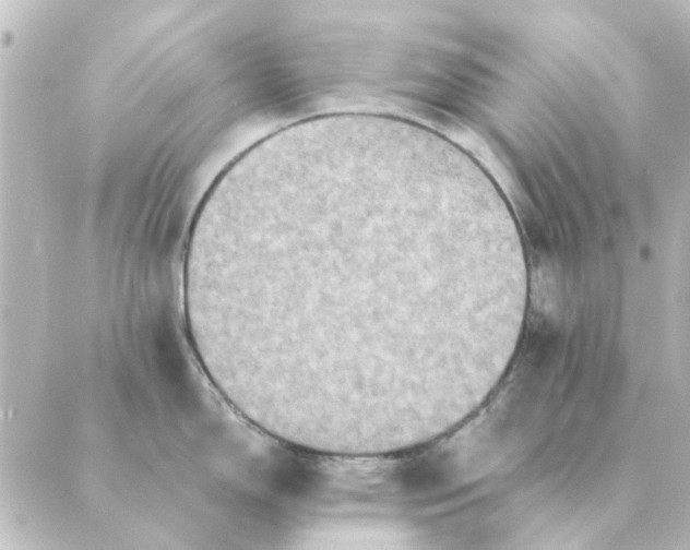 X0000088881150200706221808