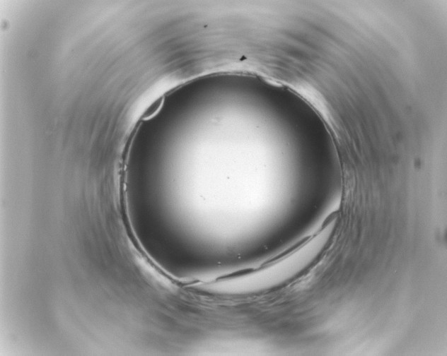 X0000088881151200706221808