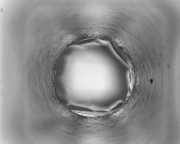 X0000088881153200706221807