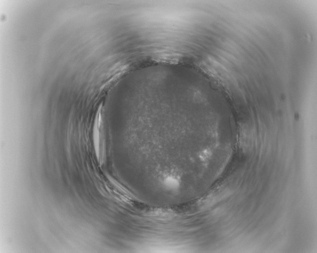 X0000088881154200706221807