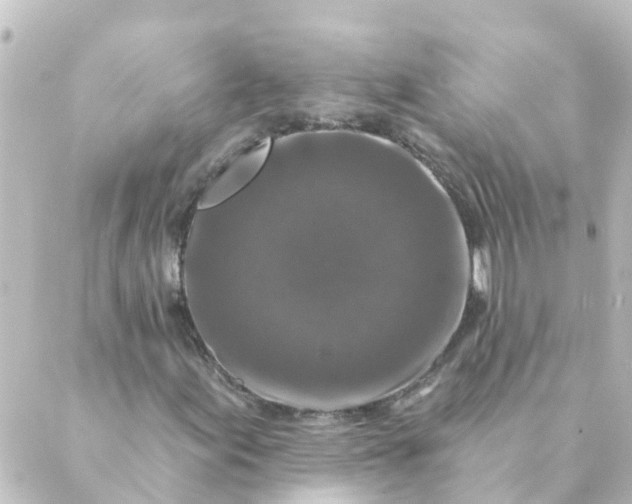 X0000088881155200706221807