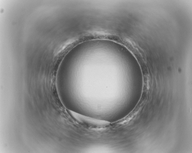 X0000088881157200706221807