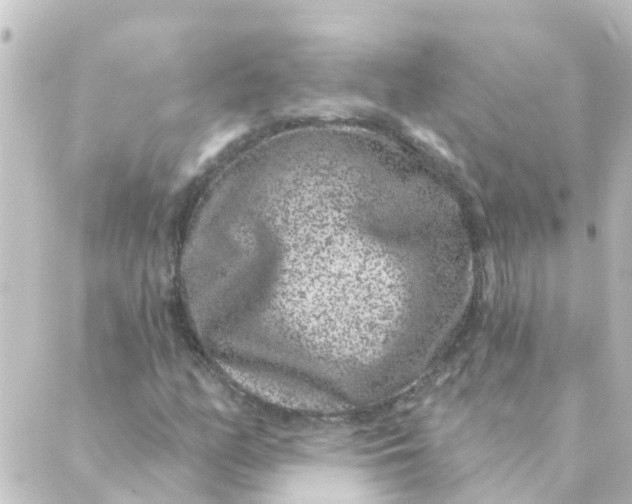 X0000088881158200706221807