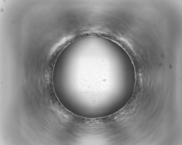 X0000088881159200706221807