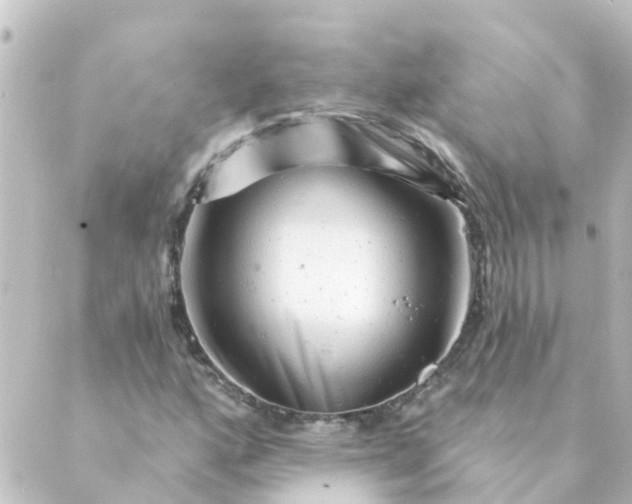 X0000088881160200706221807