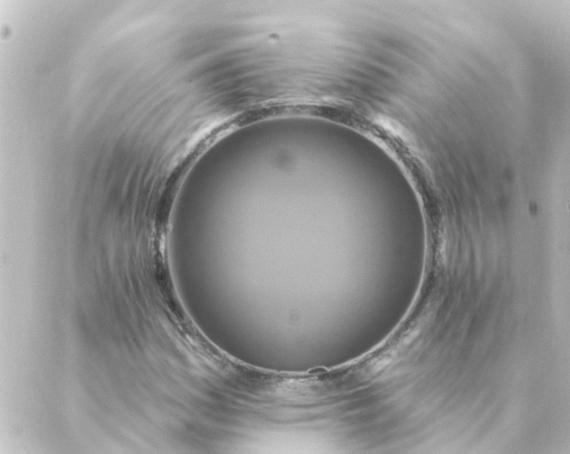 X0000088881161200706221807