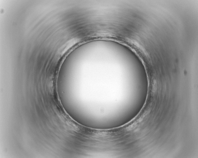 X0000088881162200706221807