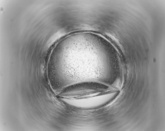 X0000088881163200706221807