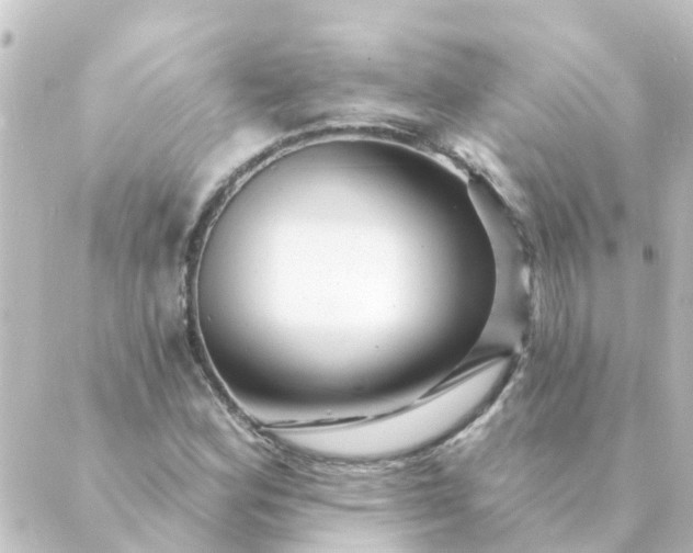 X0000088881164200706221807