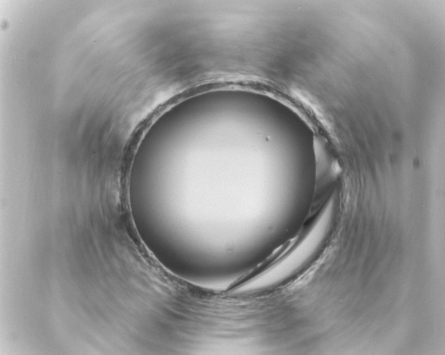 X0000088881165200706221807