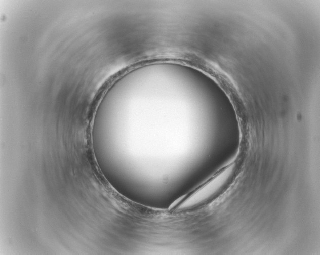 X0000088881166200706221807