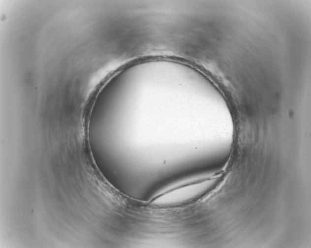 X0000088881167200706221807