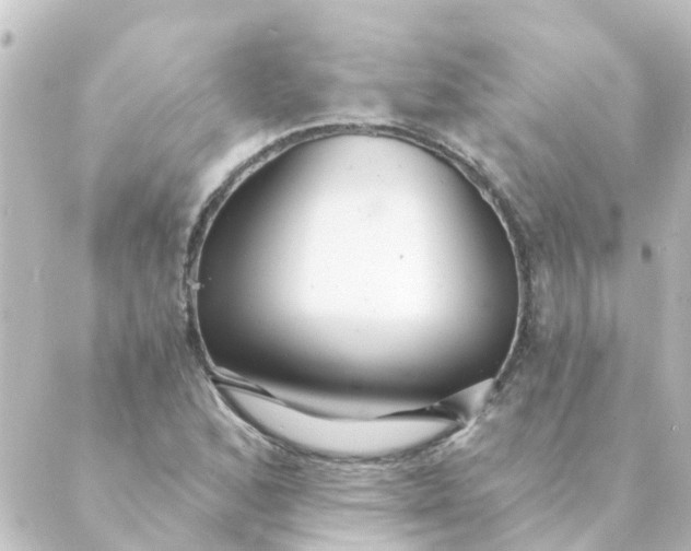 X0000088881168200706221807