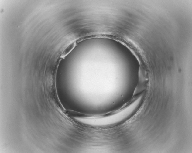 X0000088881169200706221807