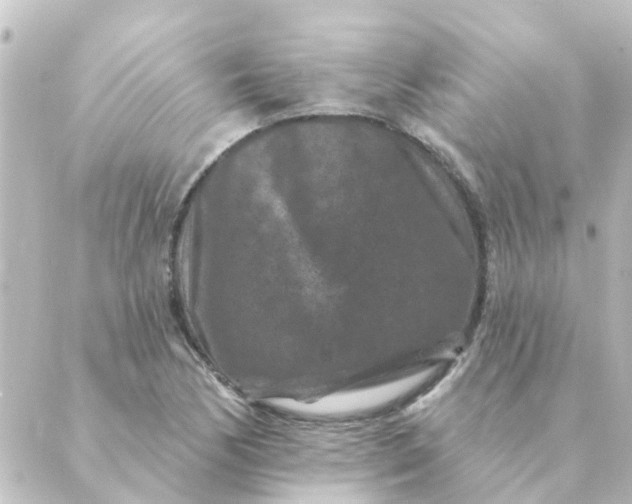 X0000088881170200706221807