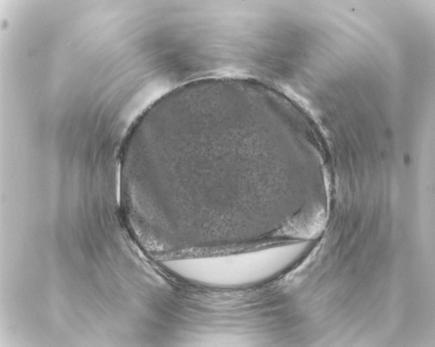 X0000088881171200706221807