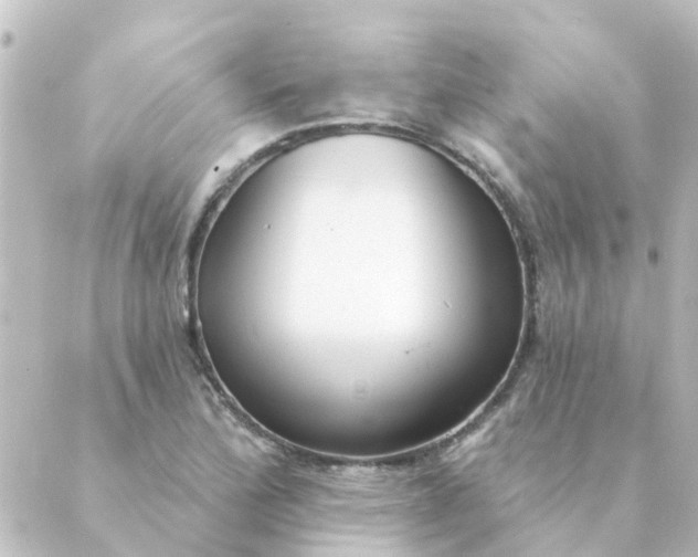 X0000088881172200706221807