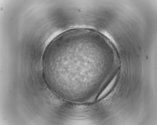 X0000088881173200706221807