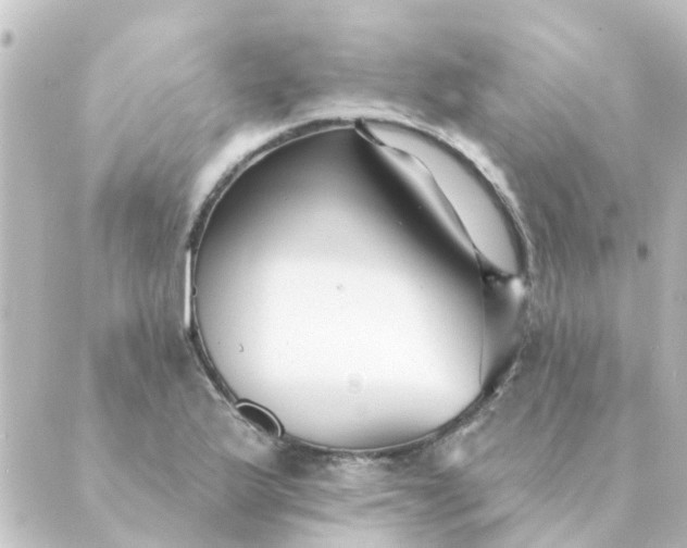 X0000088881175200706221807