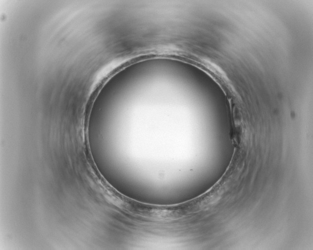 X0000088881176200706221807