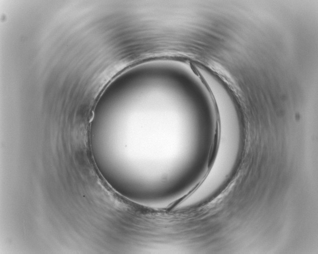 X0000088881177200706221807