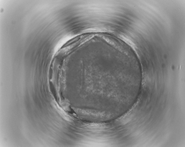 X0000088881179200706221807