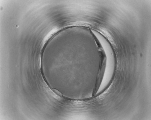 X0000088881180200706221807