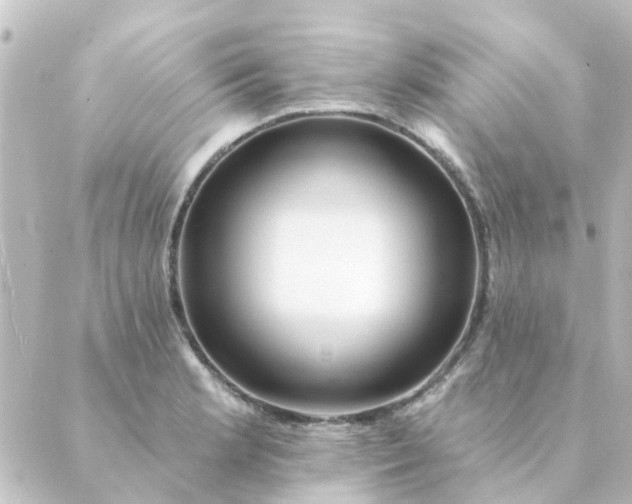 X0000088881181200706221807