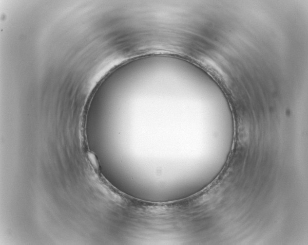 X0000088881182200706221807