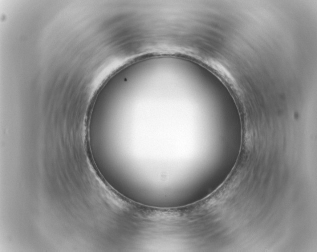 X0000088881183200706221807