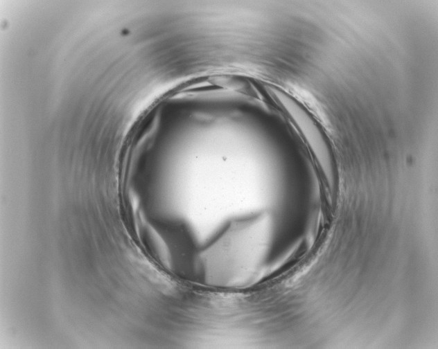 X0000088881184200706221807