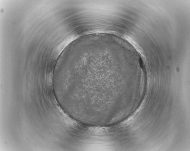 X0000088881185200706221807