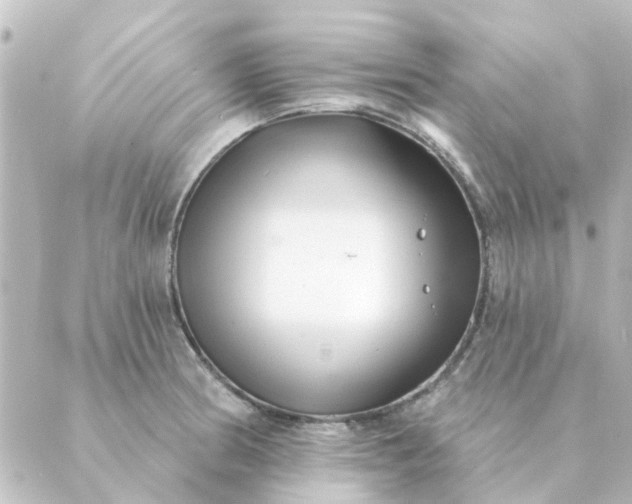 X0000088881186200706221807