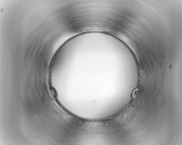 X0000088881187200706221807