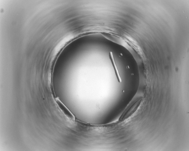 X0000088881188200706221807